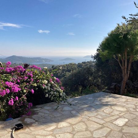 Tierra Villa Skiathos stad Exteriör bild