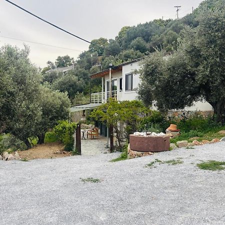 Tierra Villa Skiathos stad Exteriör bild