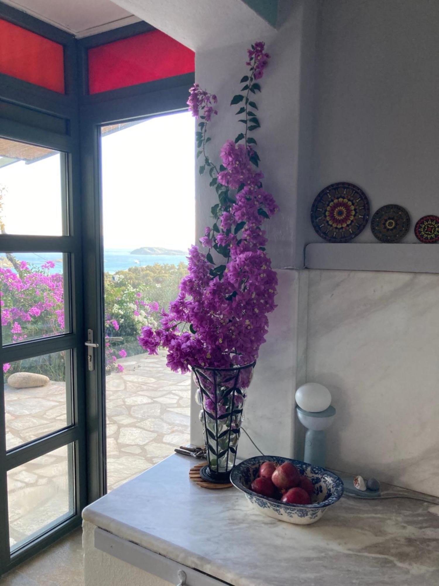 Tierra Villa Skiathos stad Exteriör bild