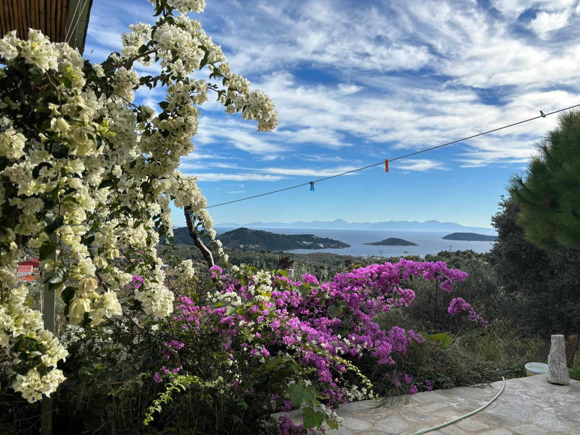 Tierra Villa Skiathos stad Exteriör bild