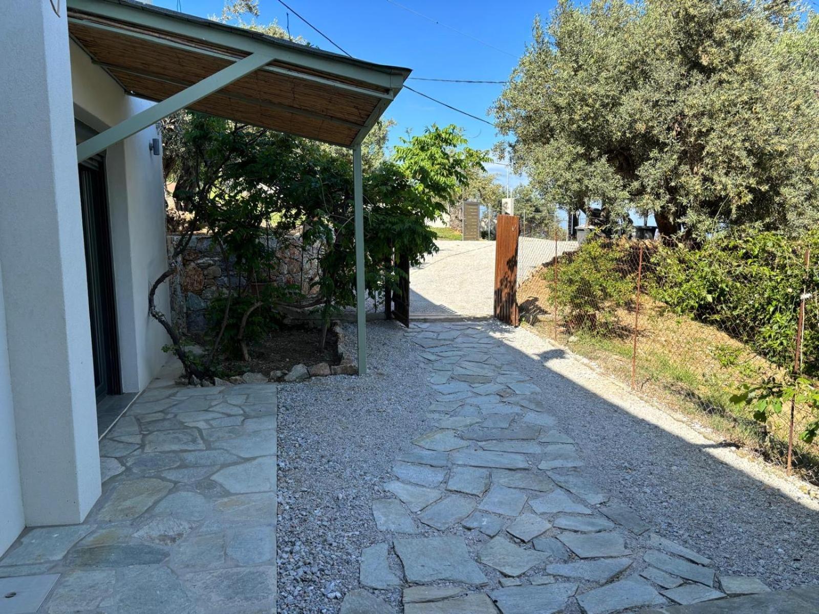 Tierra Villa Skiathos stad Exteriör bild