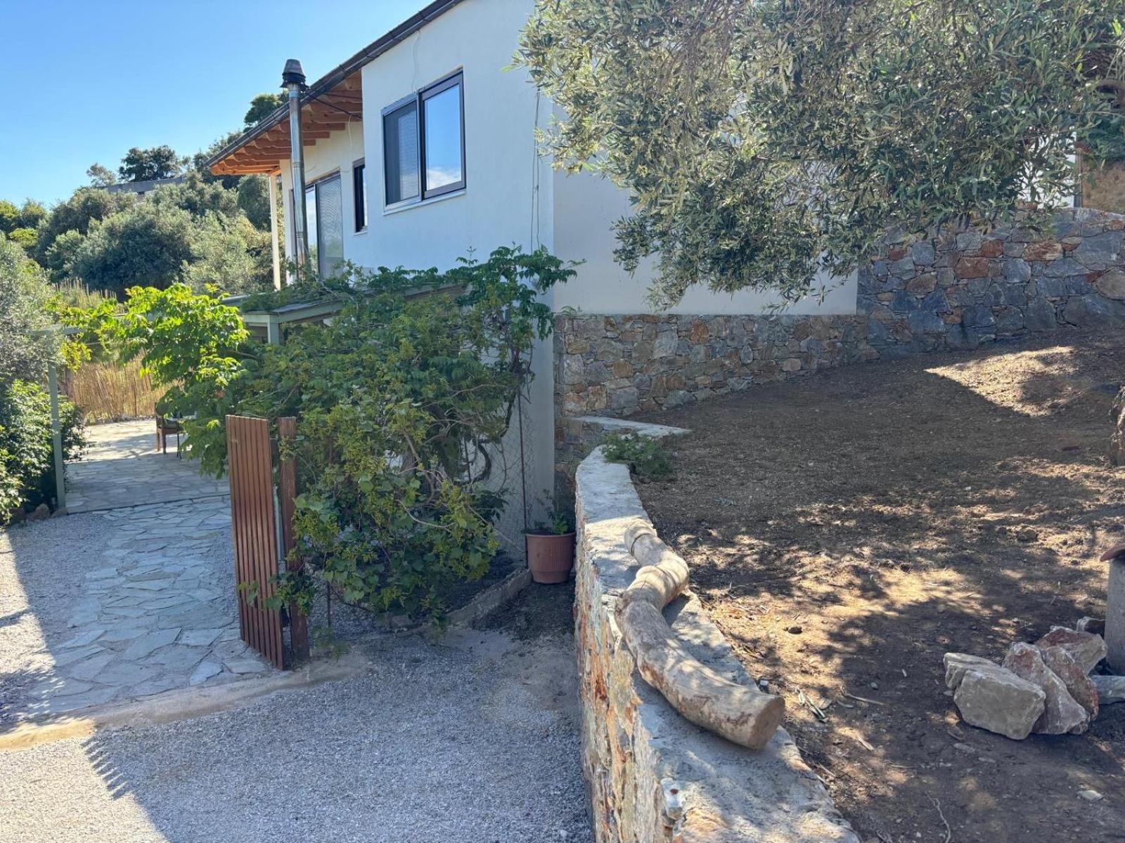 Tierra Villa Skiathos stad Exteriör bild