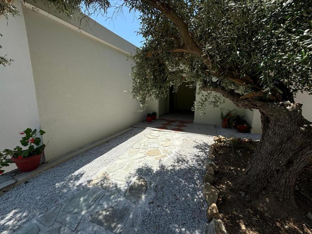 Tierra Villa Skiathos stad Exteriör bild