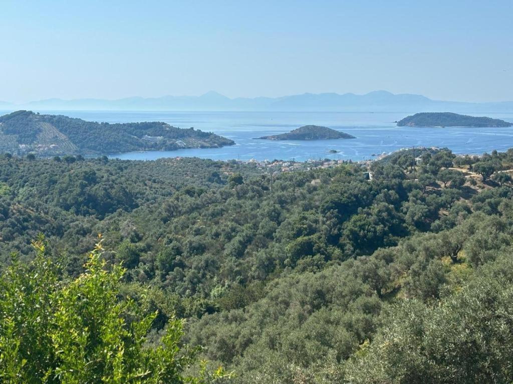 Tierra Villa Skiathos stad Exteriör bild