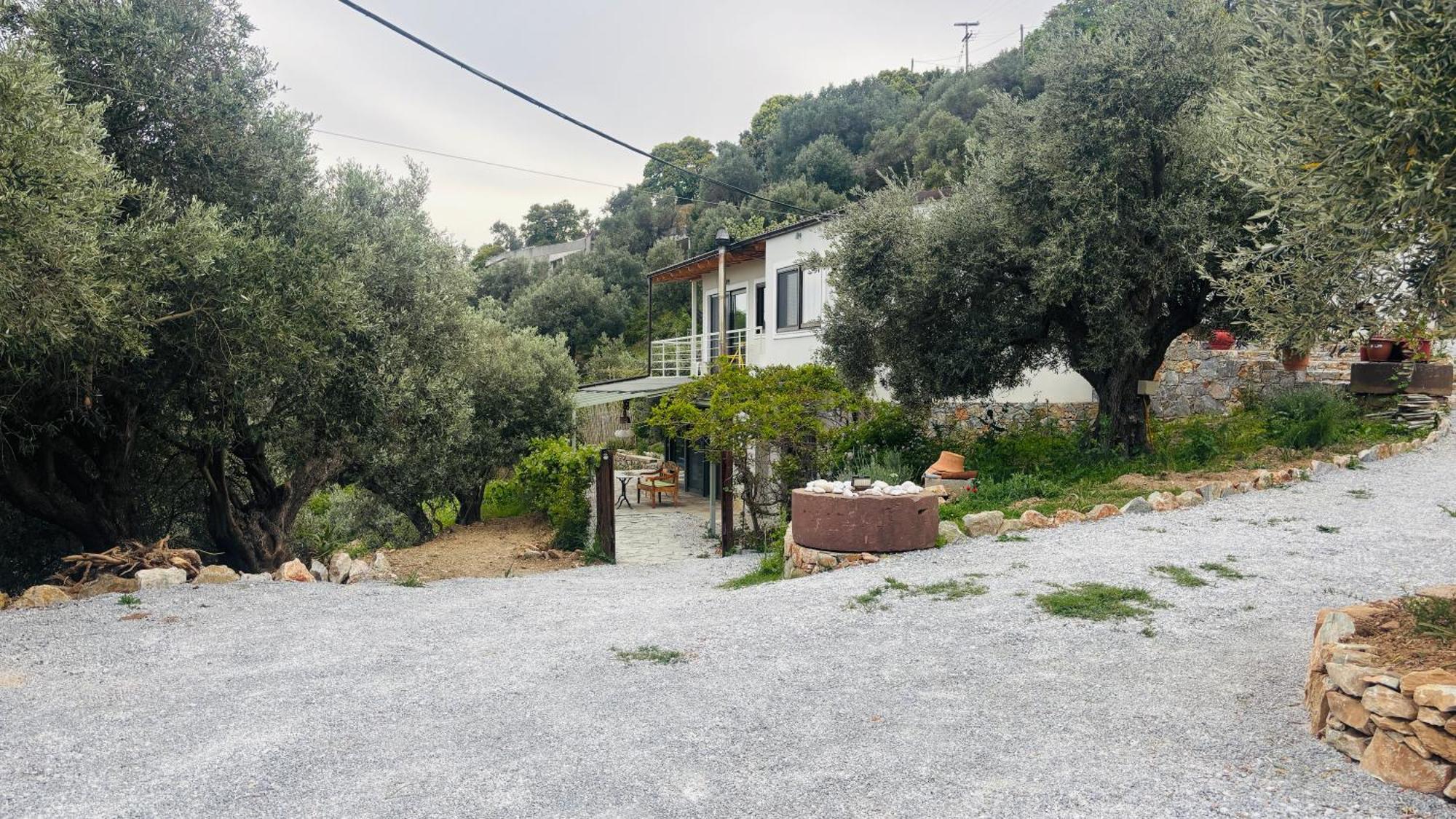 Tierra Villa Skiathos stad Exteriör bild